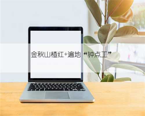 金秋山楂红 遍地“钟点工”