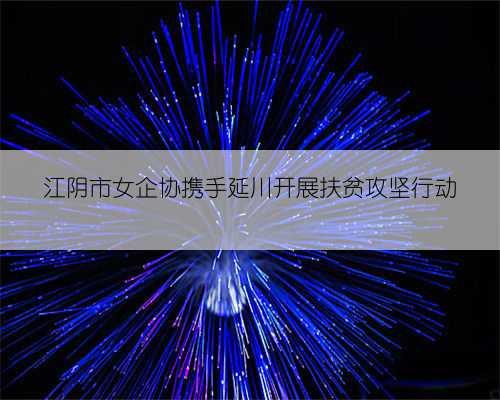 江阴市女企协携手延川开展扶贫攻坚行动