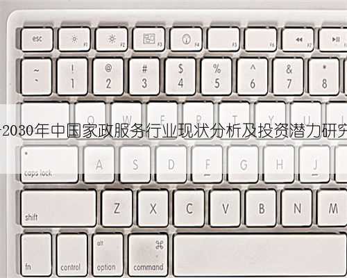 2024-2030年中国家政服务行业现状分析及投资潜力研究报告