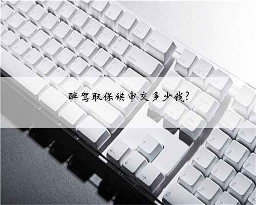 醉驾取保候审交多少钱?