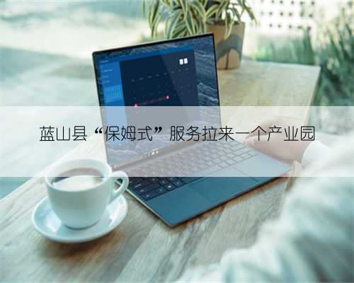 蓝山县“保姆式”服务拉来一个产业园