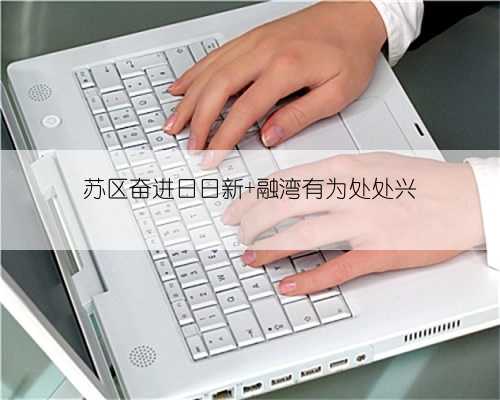 苏区奋进日日新 融湾有为处处兴