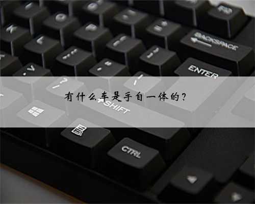 有什么车是手自一体的?