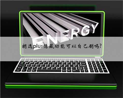 朗逸plus隐藏功能可以自己刷吗?