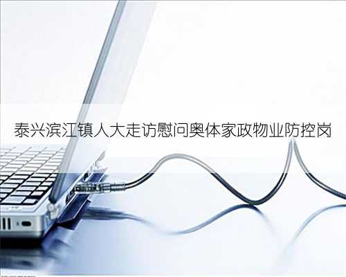 泰兴滨江镇人大走访慰问奥体家政物业防控岗