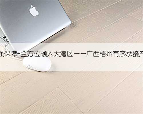 优服务强保障 全方位融入大湾区——广西梧州有序承接产业转移