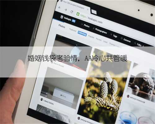 婚姻钱袋考验情，AA冷心共管暖