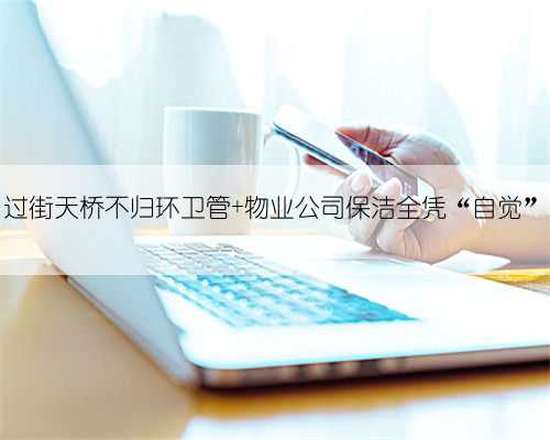 过街天桥不归环卫管 物业公司保洁全凭“自觉”