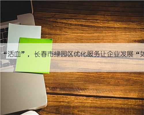 “输血”+“活血”，长春市绿园区优化服务让企业发展“如沐春风”