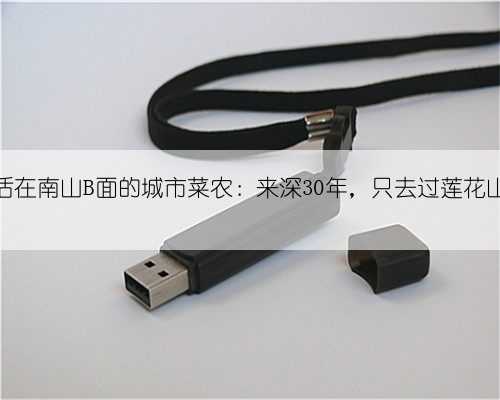 活在南山B面的城市菜农：来深30年，只去过莲花山