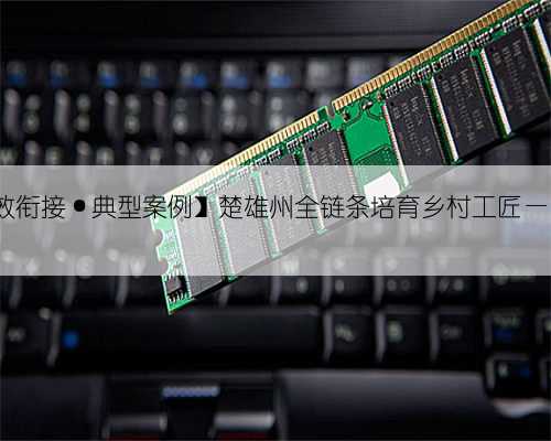 【巩固拓展脱贫攻坚成果同乡村振兴有效衔接·典型案例】楚雄州全链条培育乡