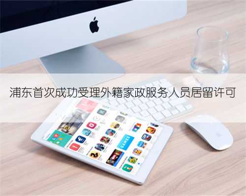 浦东首次成功受理外籍家政服务人员居留许可