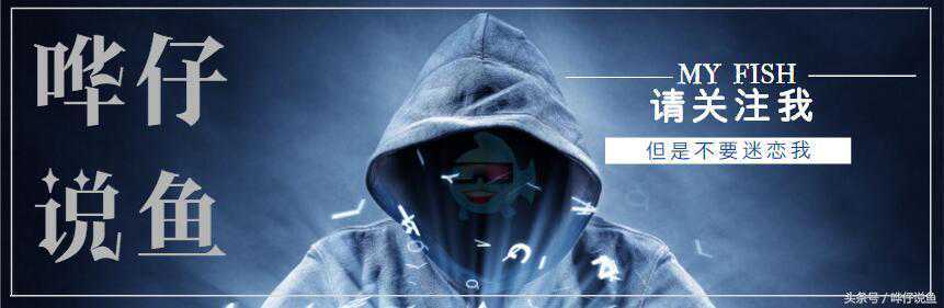 快到春节假期了，办公室的鱼缸该怎么办——哗仔说鱼
