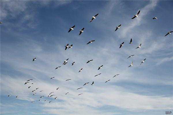 这三种人性的弱点，会严重拖累你的人生，希望你尽快把它们克服