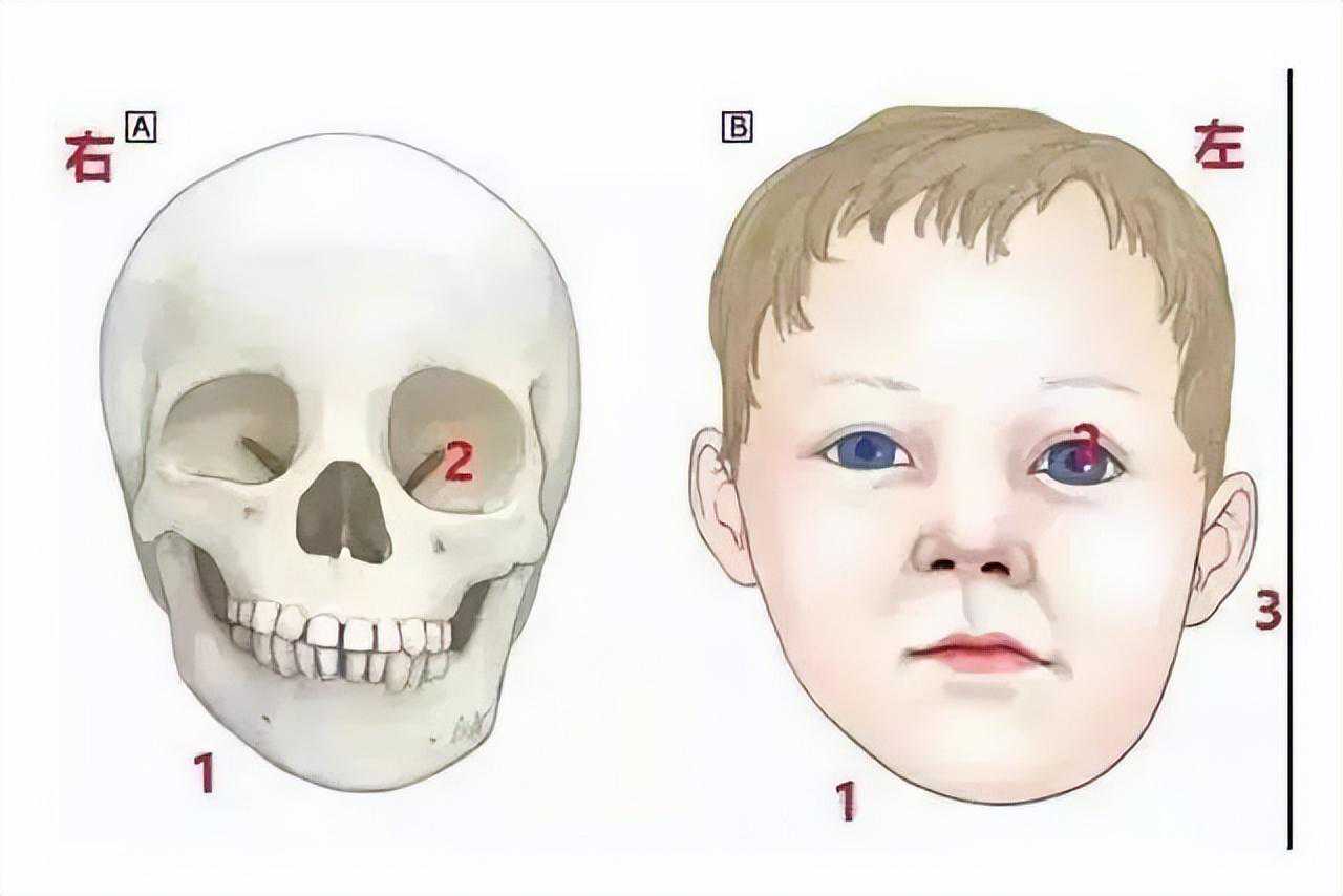 文化学者、书画家杨秀和：俞姓是中国人常见的姓氏，起源很早